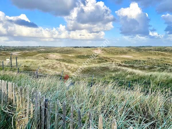Duinlandschap Zandvoort