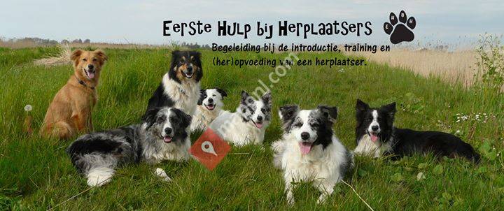 Eerste Hulp bij Herplaatsers