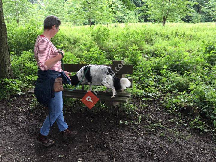 Ellen Angelino - natuurlijk voor dier en mens