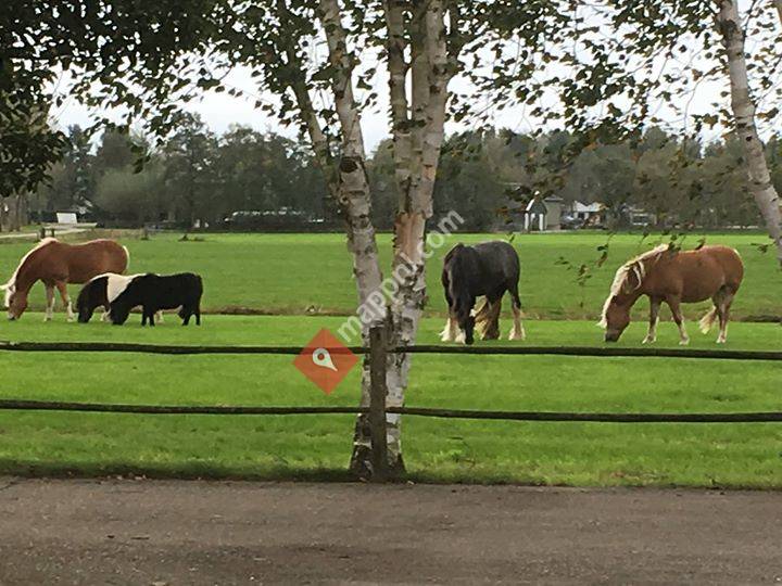 Epona Coaching