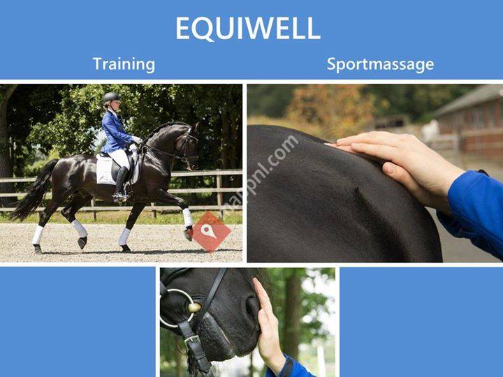 Equiwell