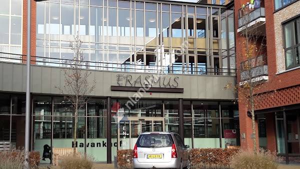 Erasmus