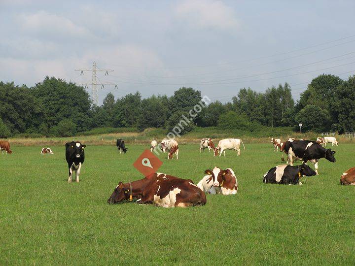 Excursie Robotmelken