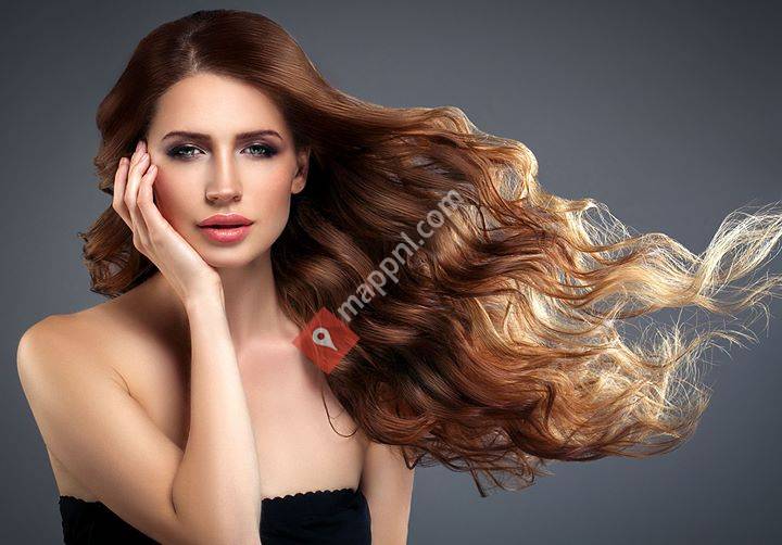 Extensions Zetten Hattem