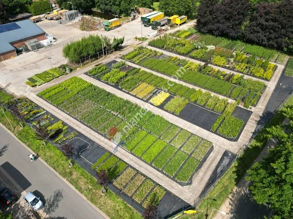 Faassen Plants | Boomkwekerij