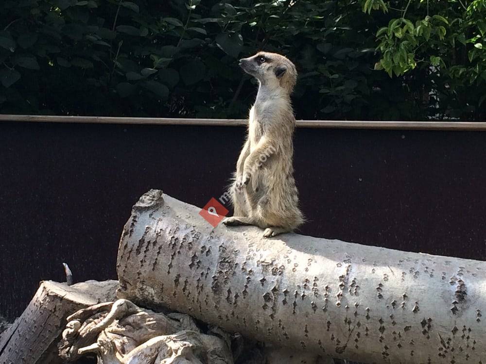 Faunapark Flakkee
