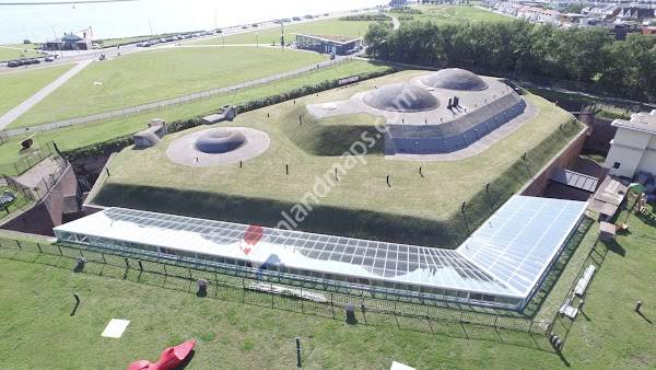Fort 1881