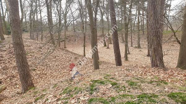 Fort Hazepoot (schans 18)