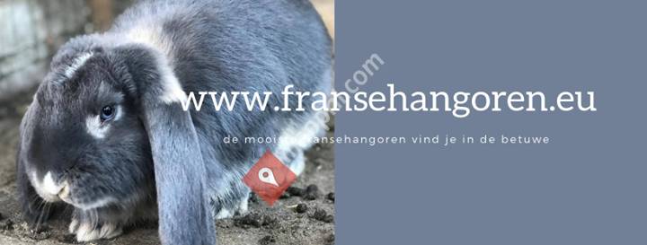 fransehangoren.eu