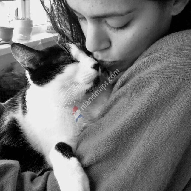 Free Tours by Students