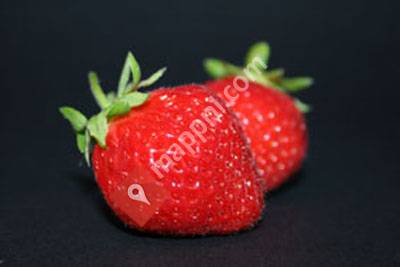 Fruitkapel