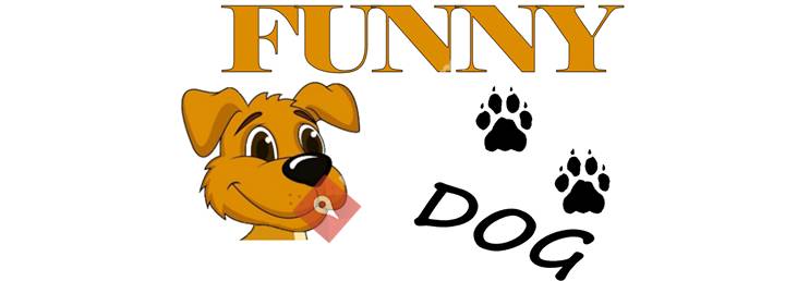 Funny Dog