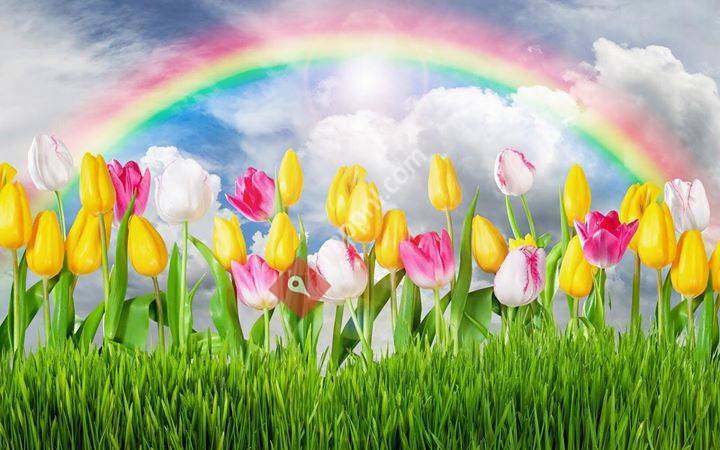 Gastouder de Regenboog
