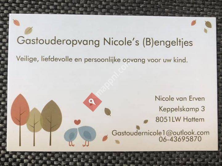Gastouderopvang Nicole's Bengeltjes