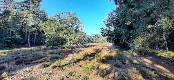 Gemeente Noordenveld