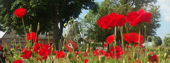 Gemeente Zwartewaterland