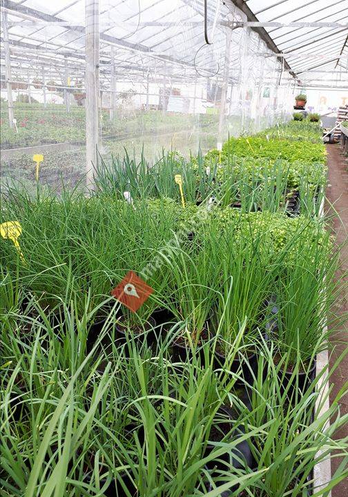 Gerrit's Plantenkwekerij