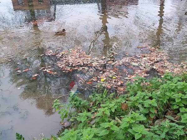 GLTV Tennis Padel Gemert