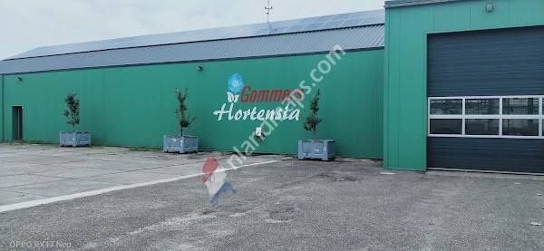 Gommers Hortensia BV