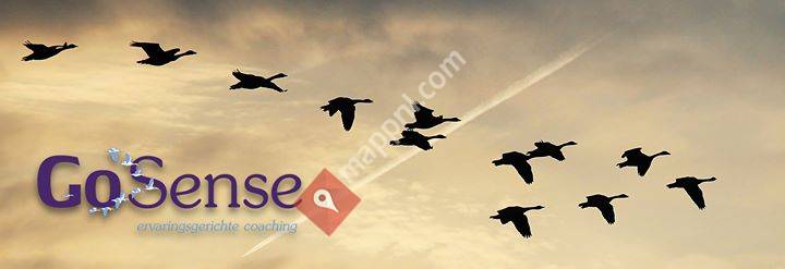 GoSense