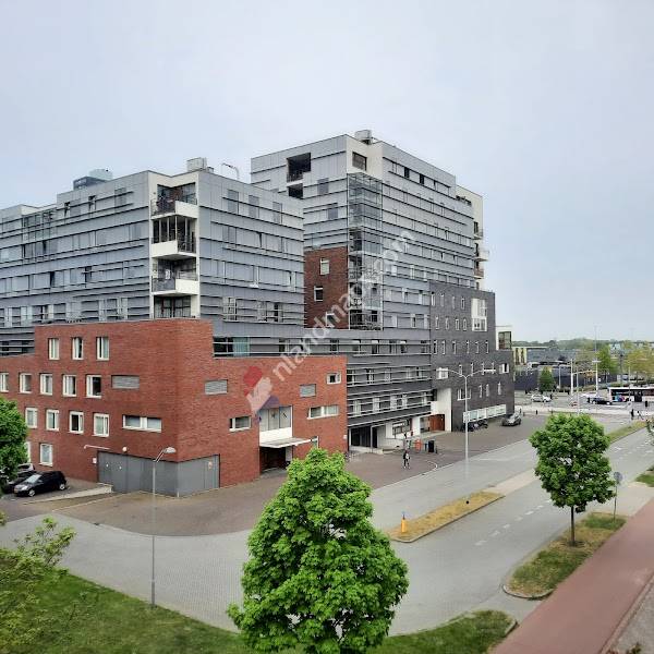 Grijze Generaal GGzE