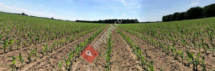 Groeikracht regio Zuid