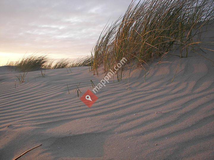 Groepsverblijf de Zilvermeeuw Texel
