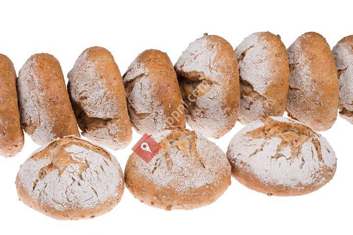 groot-koerkamp.com De Echte Bakker