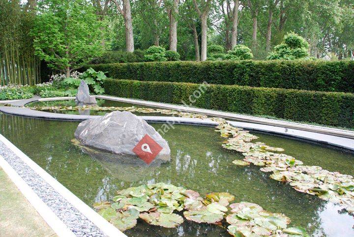 Haagplanten.net