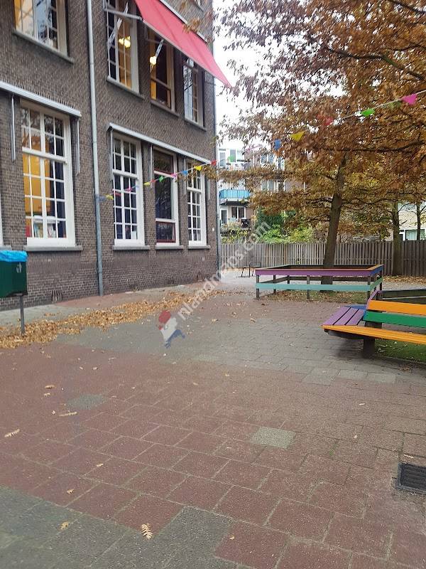 Harbour IBSR international department