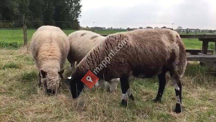 Het volk van de Hoofakker