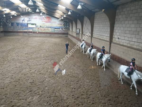 Hippisch Centrum Westland