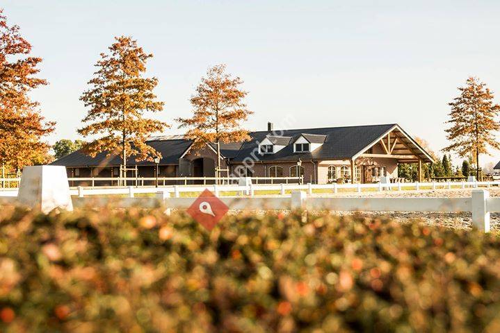 Hippo Verzekeringen & Hypotheken