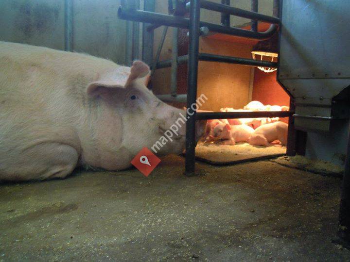 Hoeve de Hulsdonk