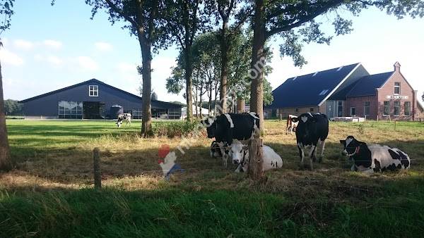Hoeve Immermoed van Maatschap Hoogeveen v/d Berg de Boer
