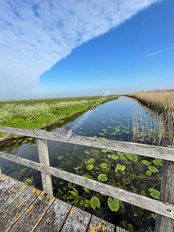 Hoge Weide - Zorgwaard