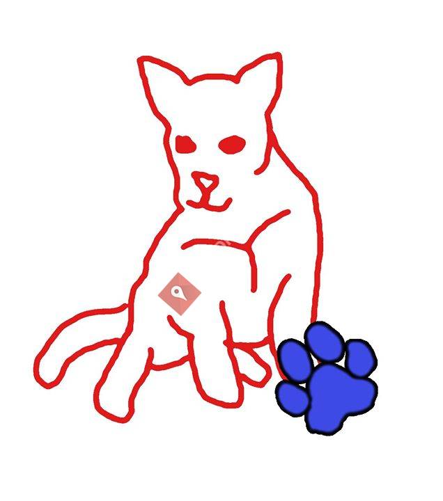 Hondenclub FUN Sluis