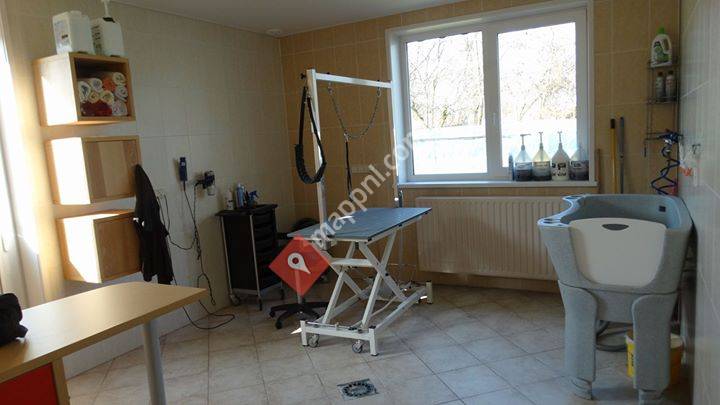 Hondentrimsalon Dommel's Droom