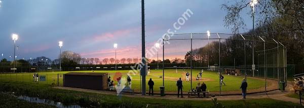 Honkbal- en Softbal Vereniging Thamen