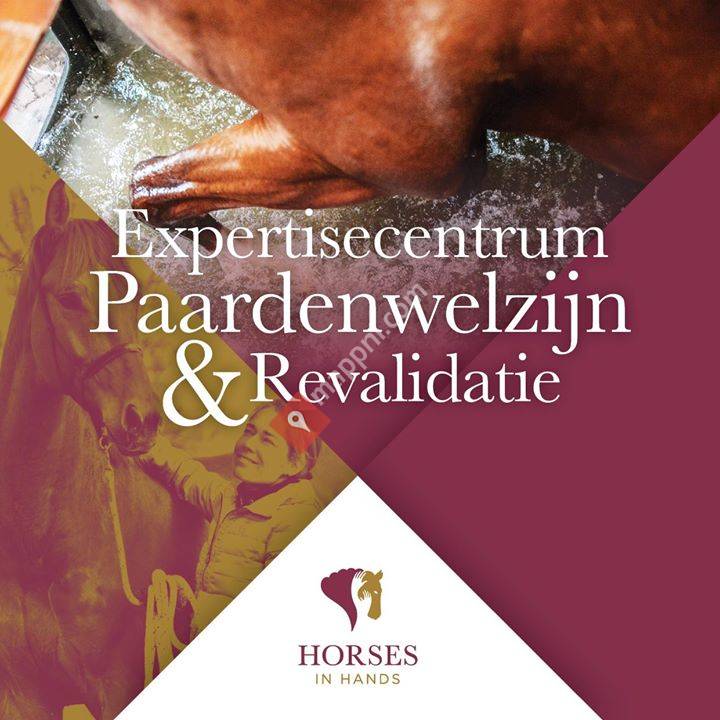 Horses in Hands