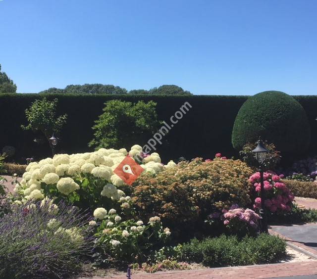 Hoveniersbedrijf van de Waal