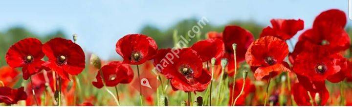 Huis Erika Thijs VZW