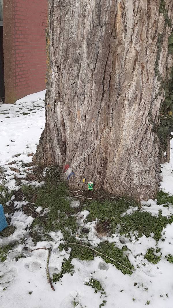 Huisartsenpraktijk de Kleine Dommel