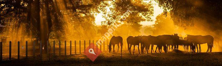 Huys en Paard
