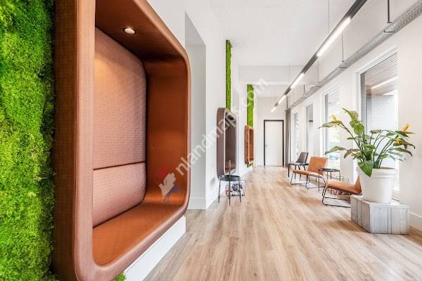 IJsselstate Tandartsen Dieren