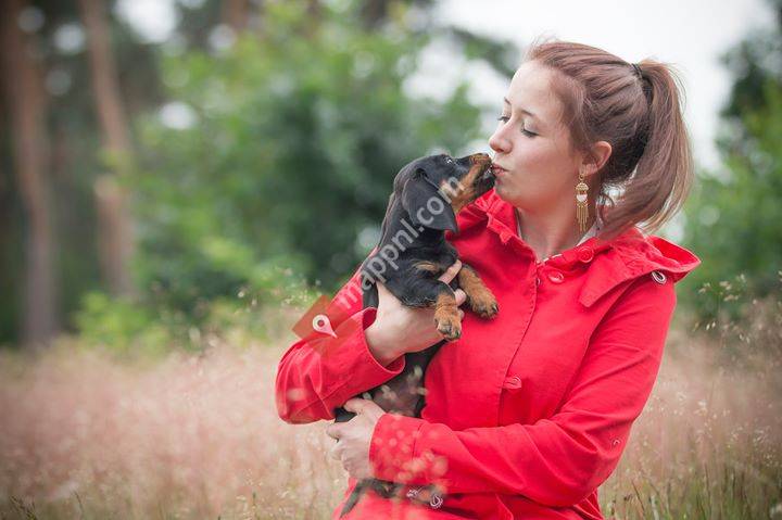 Jessica's Hondentrimsalon