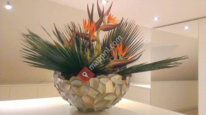 Jos Borst Bedrijfsgroen / Kunstplanten.nl