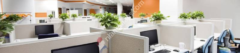 Kalshoven Ongediertebestrijding