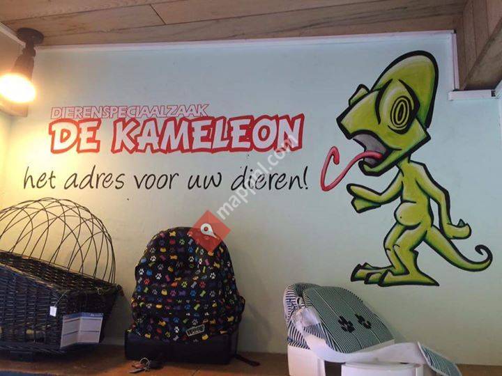 Kameleon Sluis