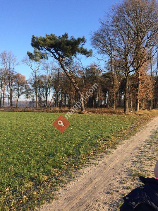 Kampeerboerderij De Molenvelden